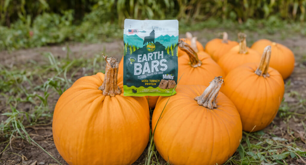 A bag of EarthBars sits on a group of pumpkins