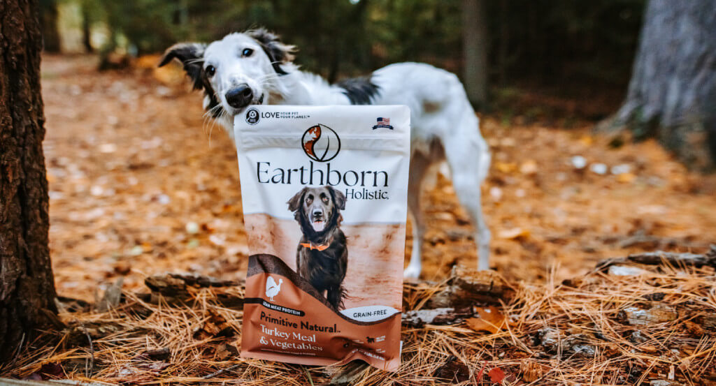 dog sniffs bag of dog food