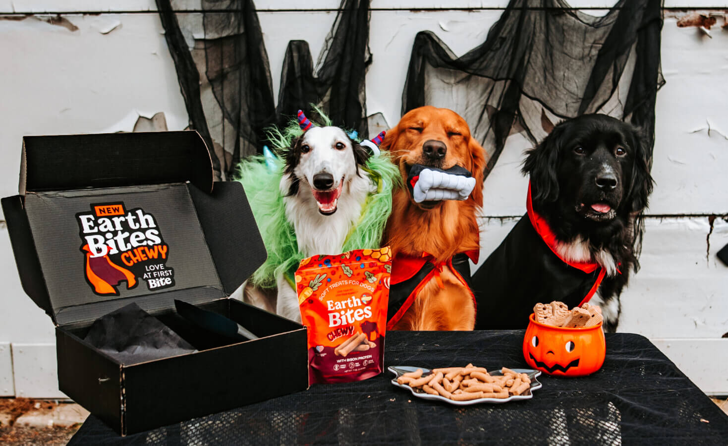 Three dogs in costumes sit next to a bag of EarthBites Chewy