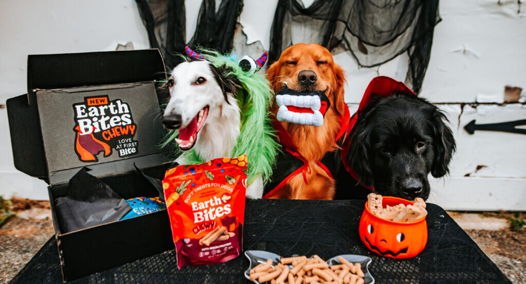 Two dogs sit dressed in costumes as one dog eats treats out of basket