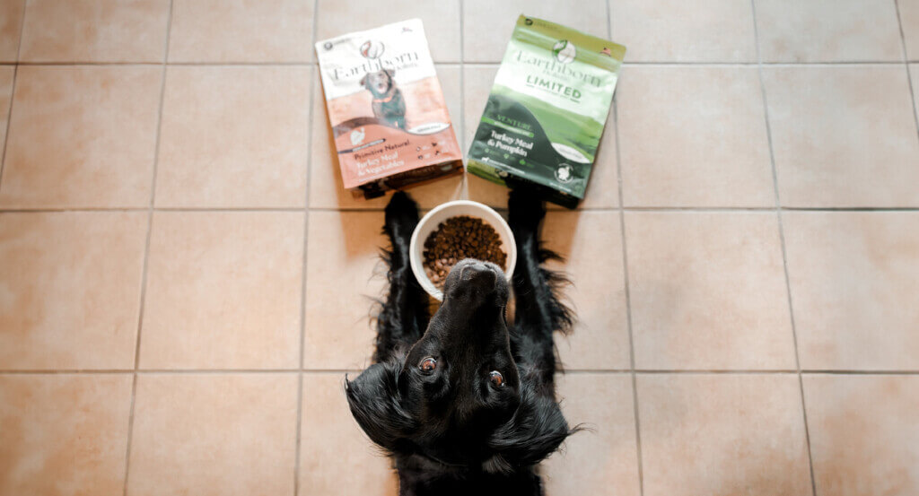 Dog looks up as they lay with bowl of food between paws and two bags of dog food in front of them