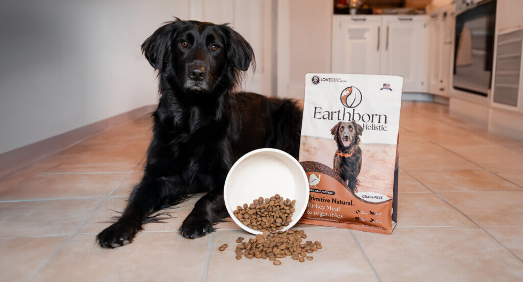 Dog lays next to a bowl of food that is knocked over and a bag of dog food