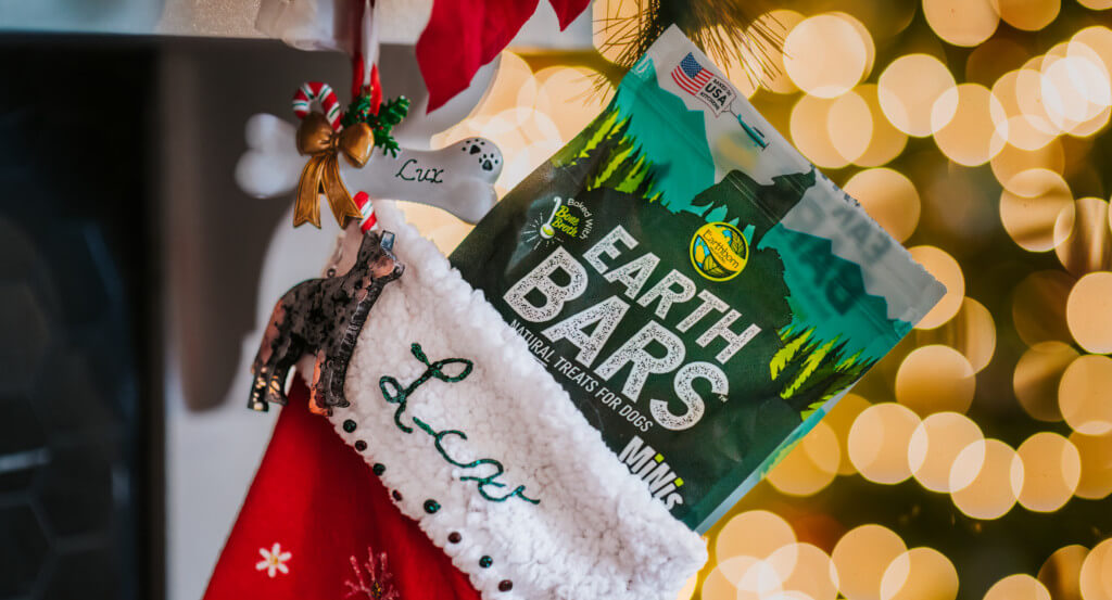 Bag of EarthBars sits inside a stocking