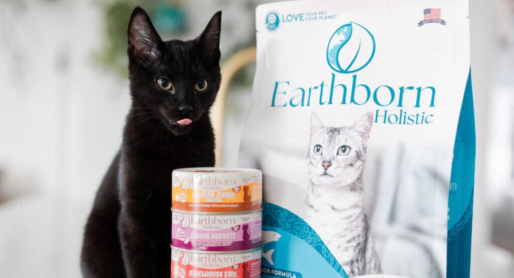 Cat sits next to bag of food and stack of wet cat food