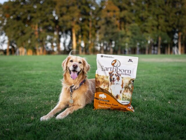 Dog lays in grass next to a bag of Earthborn Holistic Great Plains Feast