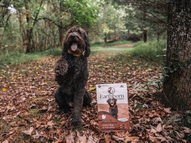 Dog stands with paw up next to a bag of Primitive Natural