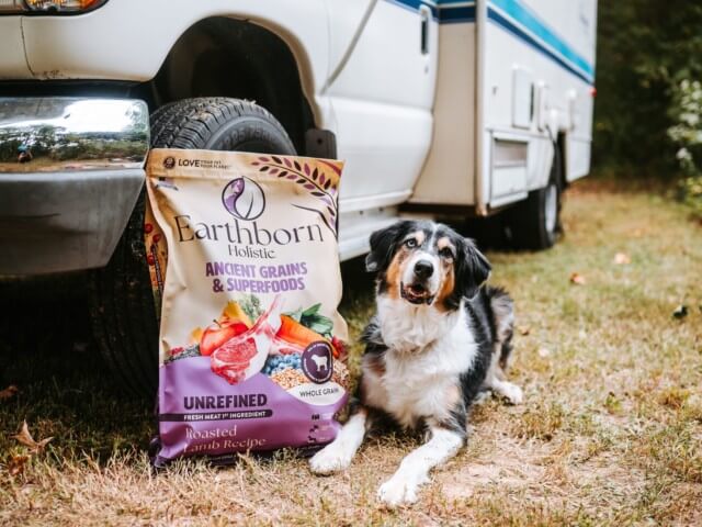 Dog sits next to RV and a bag of Earthborn Holistic Unrefined
