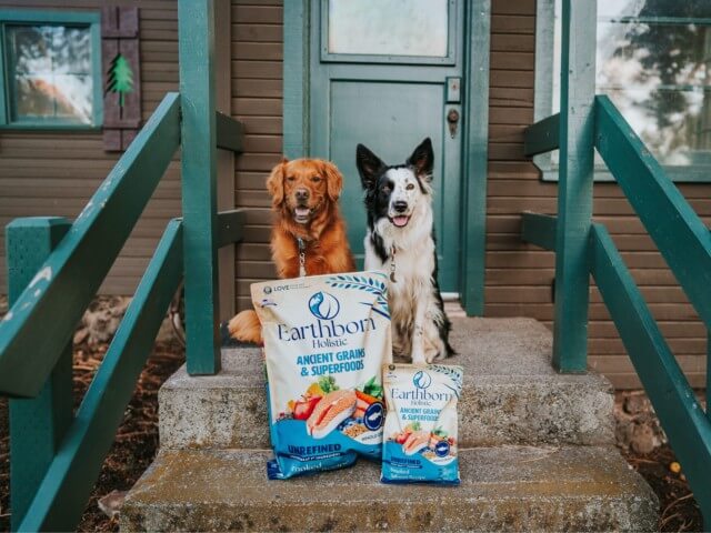 Two dogs sit on front porch behind two bags of Earthborn Holistic Unrefined