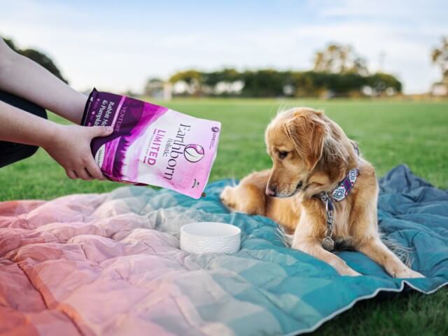 Person pours Earthborn Holistic Limited Ingredient Diet into a bowl for the dog laying on blanket