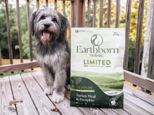 Dog sits on deck next to Earthborn Holistic Limited Ingredient Diet