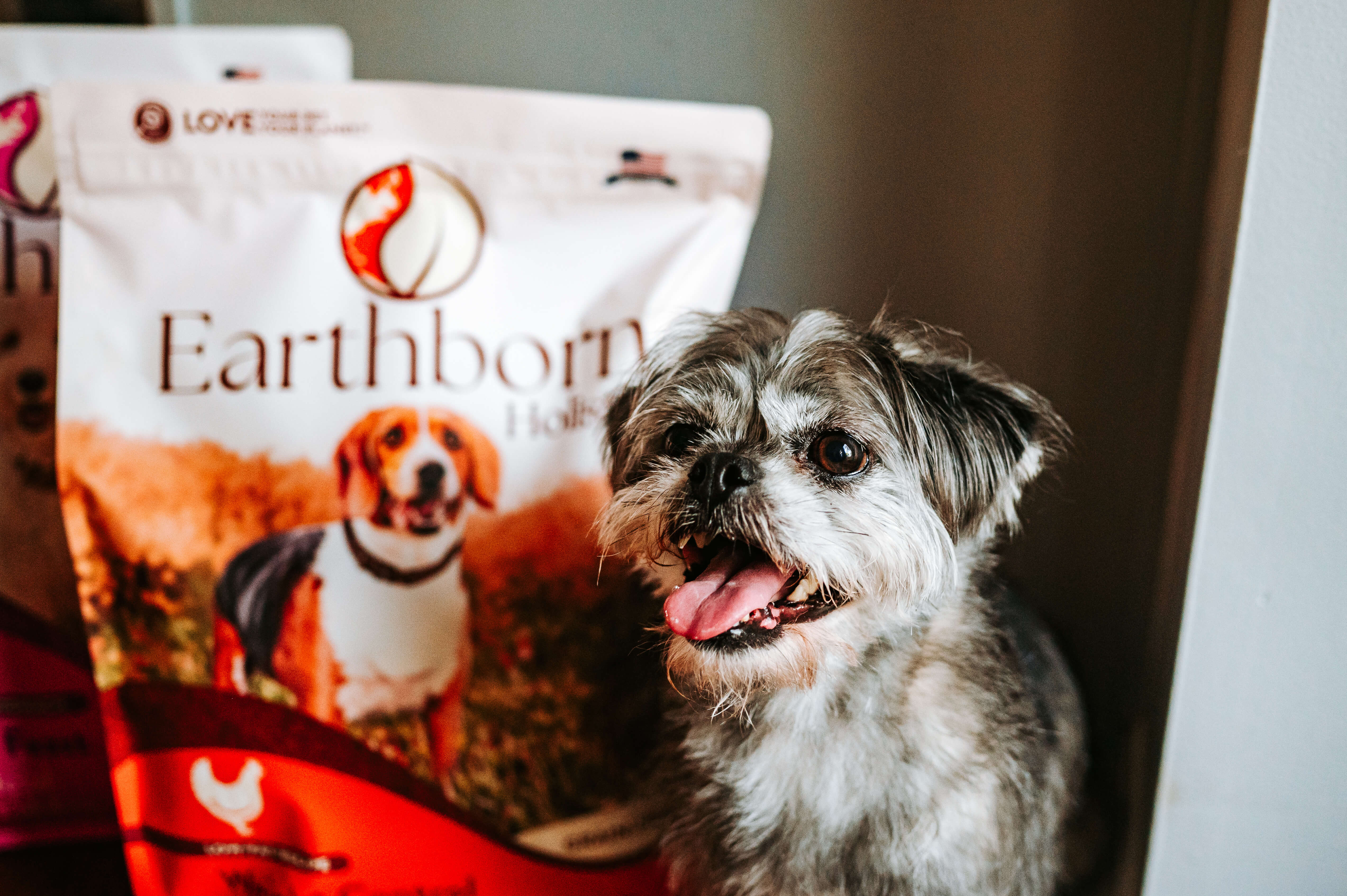 Dog sits next to a bag of Earthborn Holistic