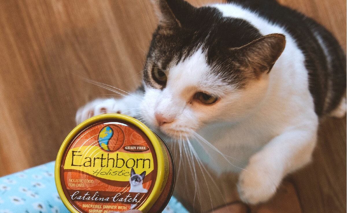 A black and white cat with an Earthborn Holistic Catalina Catch cat food can
