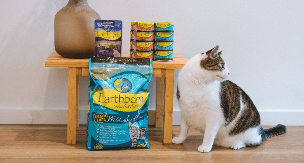 A black and white cat sitting in a front of a table with Earthborn Holistic cat food surrounding the table