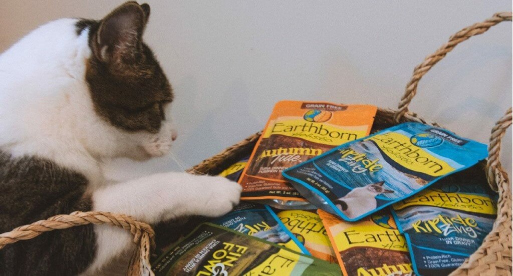 A black and white cat looks into a basket filled with Earthborn Holistic Moist Pouch cat food