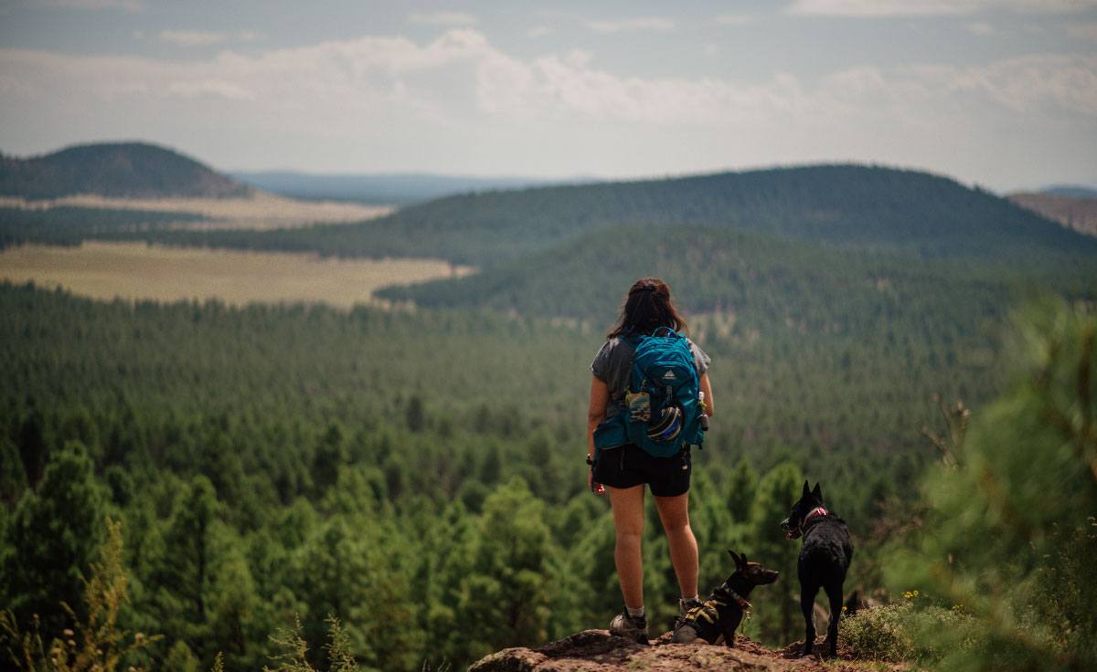 A woman stands on a summit in Arizona with her two dogs