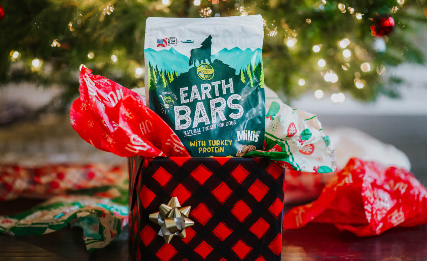 Bag of EarthBars sit in a gift bag