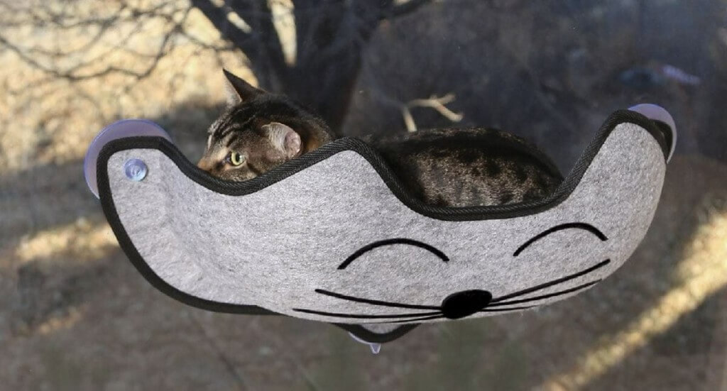 A cat lays in a window-mounted cat bed