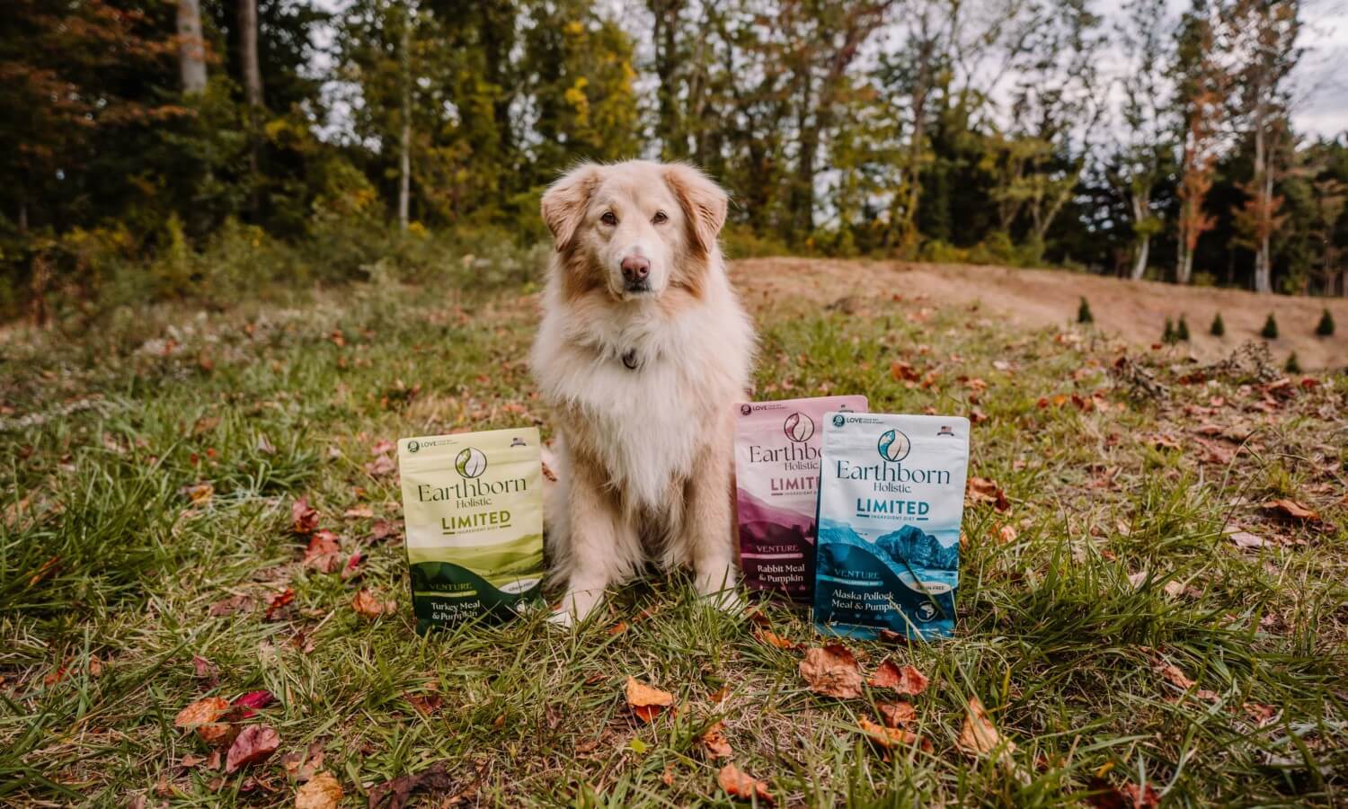Limited Ingredient Dog Food Recipes Earthborn Holistic Pet Food