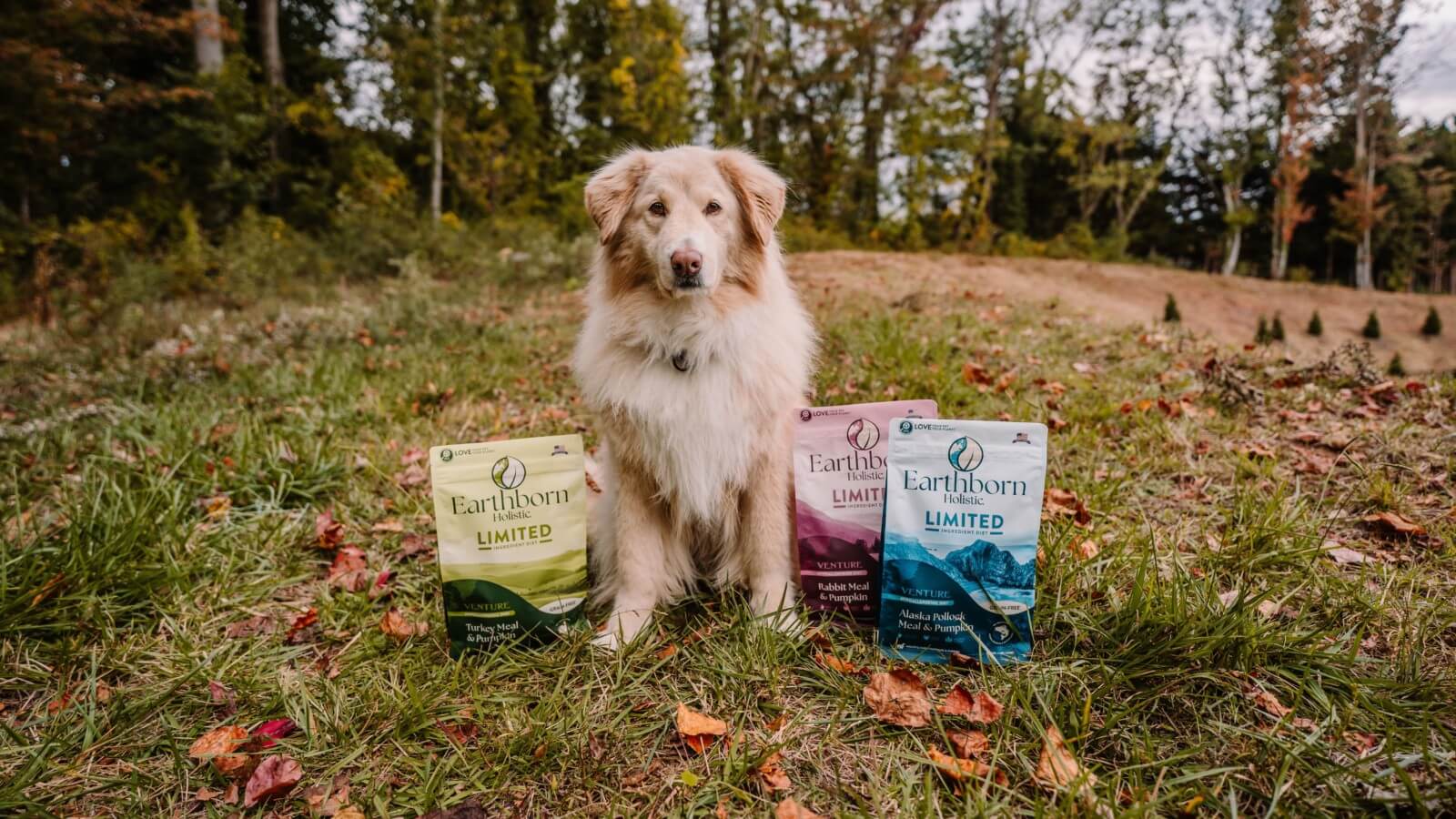 Dog sits in grass next to the Earthborn Holistic Limited Ingredient collection