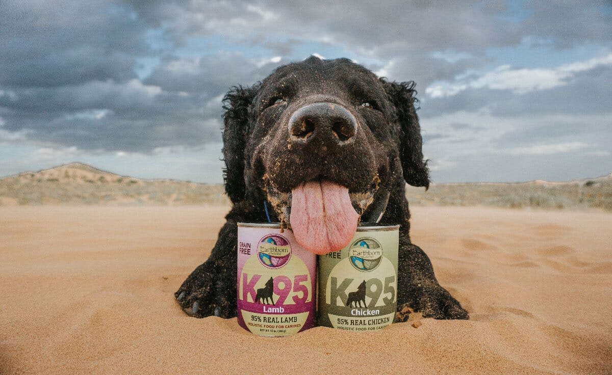 A black dog lays down in sand behind two cans of Earthborn Holistic K95 with his tongue out