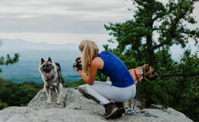 How to Take Photos of Your Pets