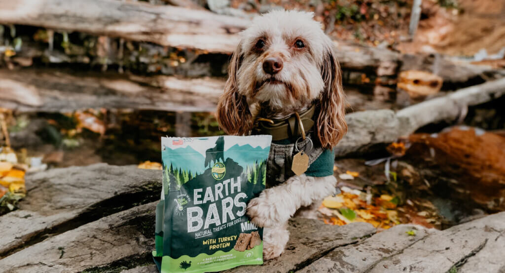 Dog sits on rock with bag of EarthBars