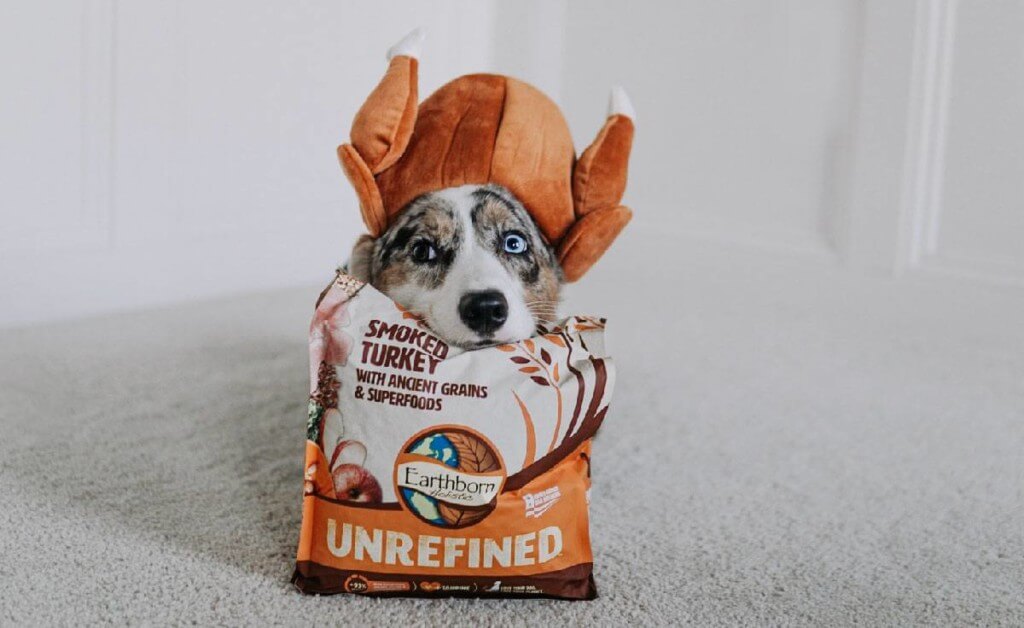 Earthborn Turkey Dog Food Roundup Earthborn Holistic Pet Food