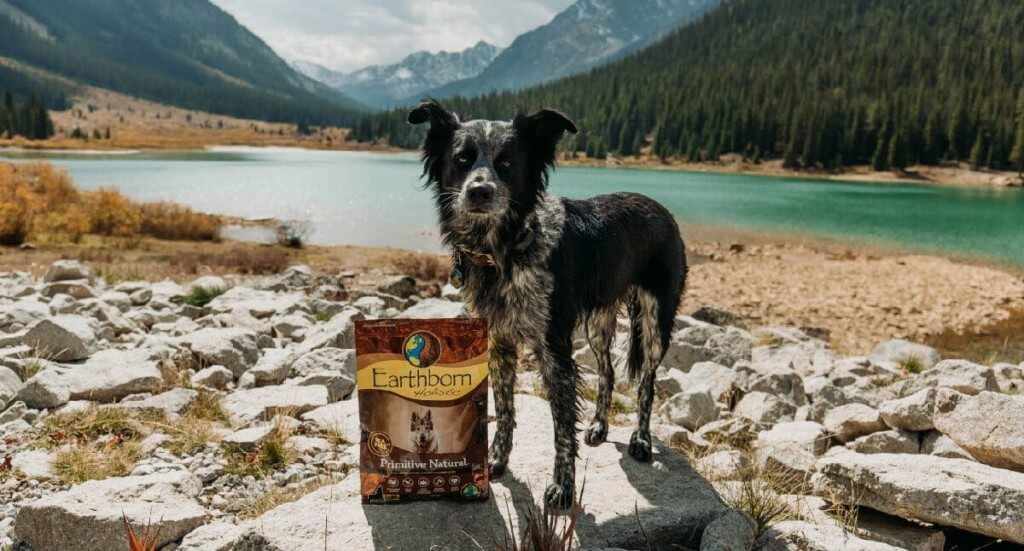 Earthborn Turkey Dog Food Roundup Earthborn Holistic Pet Food