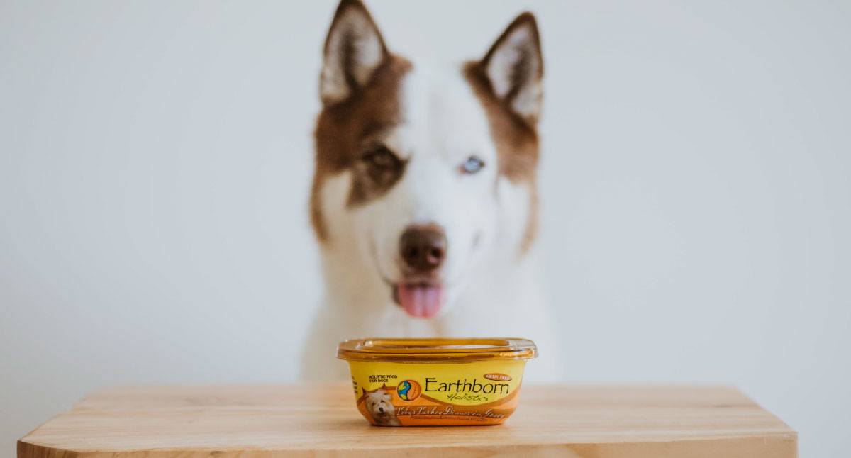 Earthborn Turkey Dog Food Roundup Earthborn Holistic Pet Food