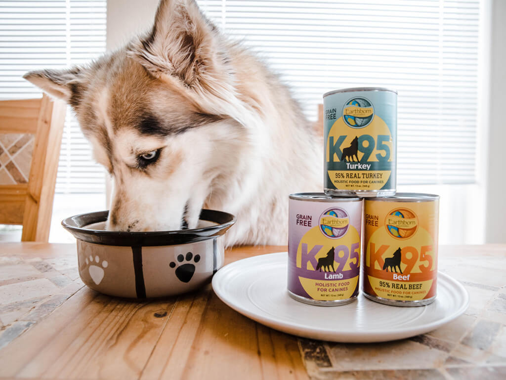 A husky eats out of a bowl next to a stack of Earthborn Holistic canned dog food