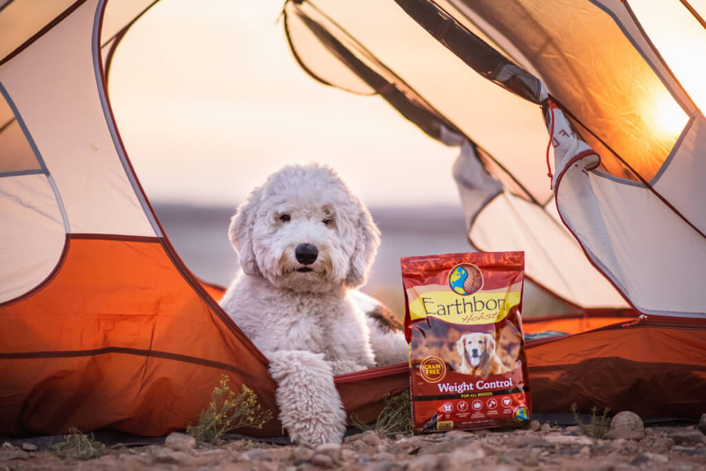 Dog looking out of a tent flap with a bag of Earthborn Holistic Weight Control dog food