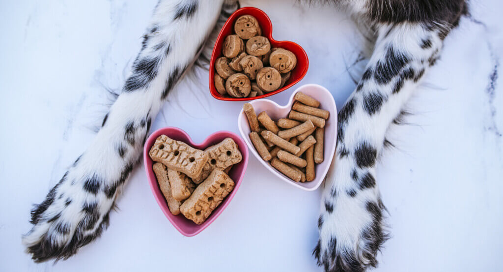 Three heart shaped bowls lay between dogs paws with treats in them.