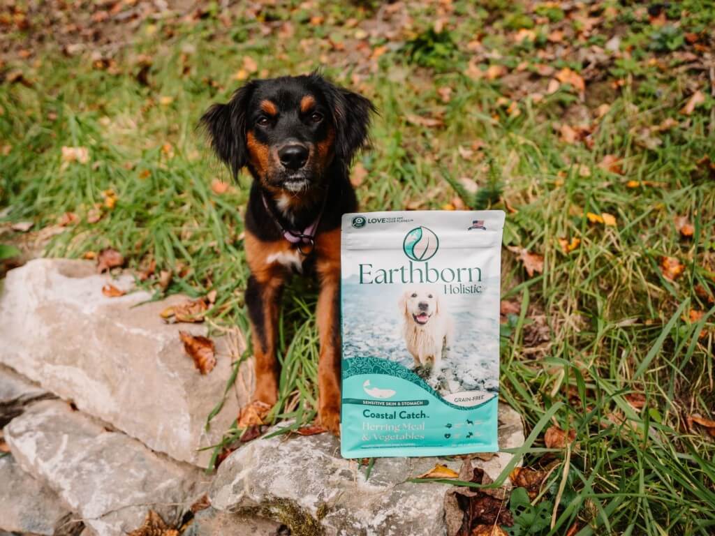 Dog stands with paws on rock next to Earthborn Holistic Coastal Catch