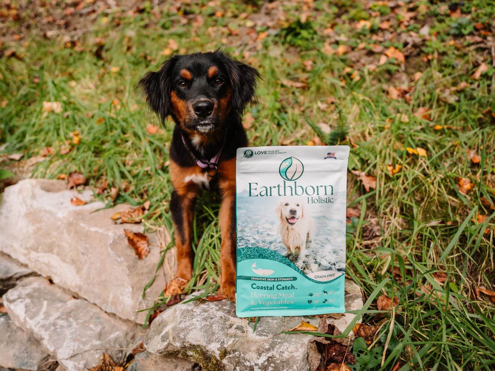 Coastal Catch Earthborn Holistic Pet Food