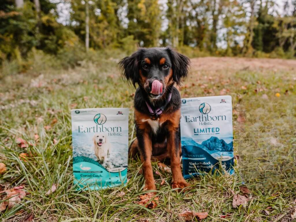 Dog licks month while sitting between a bag of Coastal Catch and Earthborn Holistic Limited Ingredient Diet