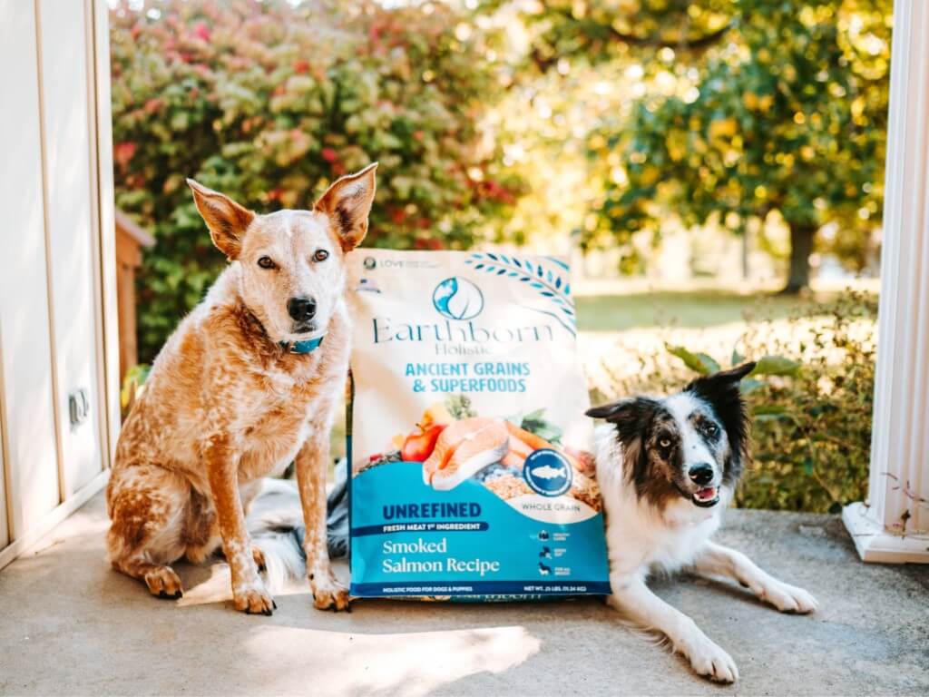 Two dogs sit on front porch with a bag of Earthborn Holistic Unrefined dog food between them