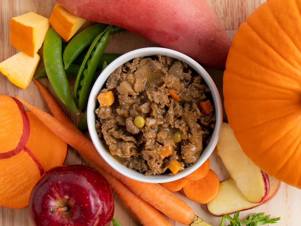 Bowl of Earthborn pet food surrounded by pumpkin, apple, carrots, snow peas, sweet potato