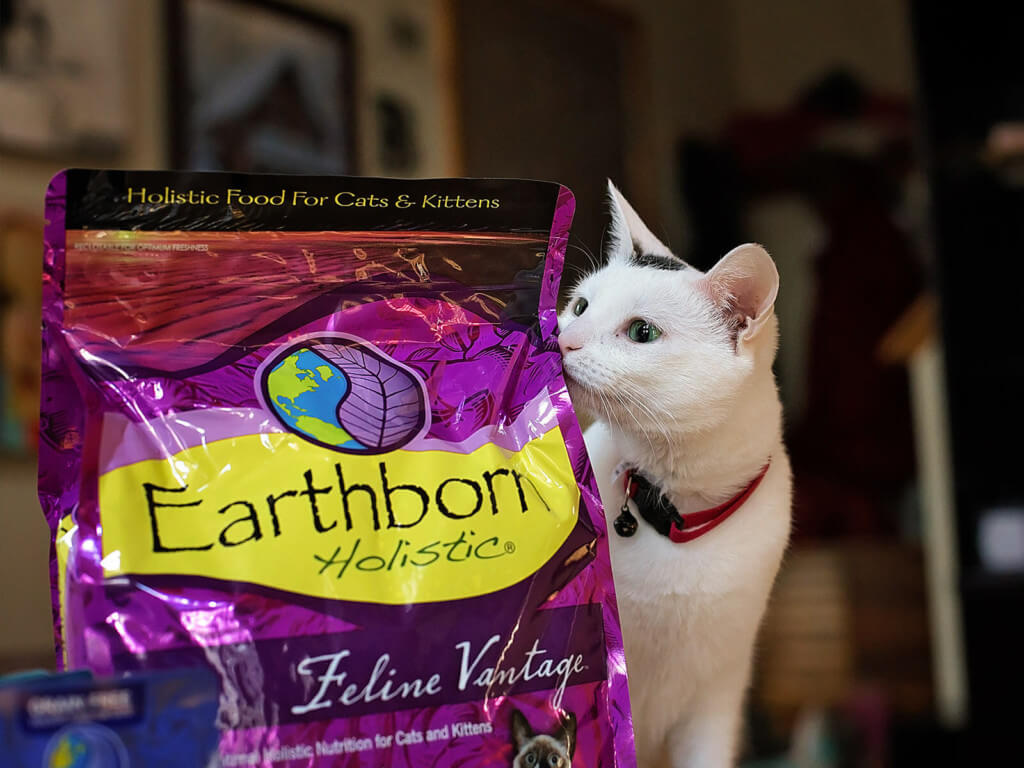 Cat sniffing a bag of Earthborn Holistic Feline Vantage cat food