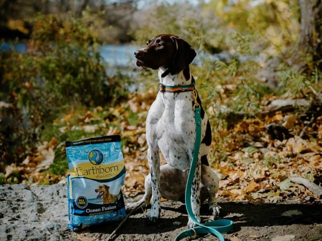 Dog standing in nature trail by a bag of Earthborn Holistic Ocean Fusion dog food
