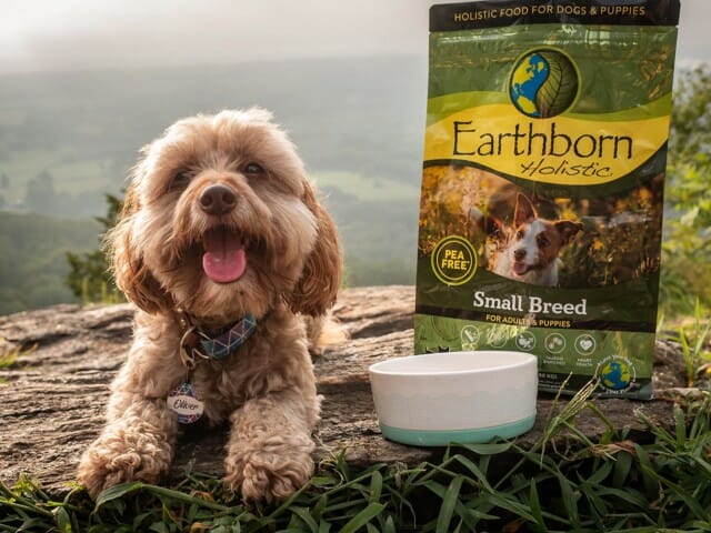 Smiling dog next to a bag of Earthborn Holistic small breed dog food