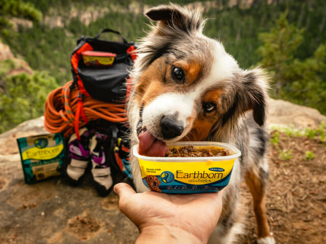 Dog licking a tub of Earthborn Holistic Duke's Din-Din Stew dog food at a mountain peak