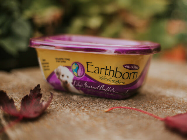 Tub of Earthborn Holistic Lily's Gourmet Buffet in Sauce dog food beside autumn leaves