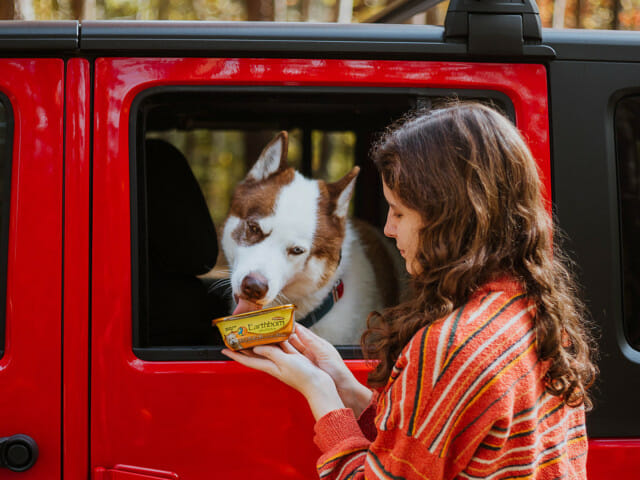 Girl holding a tub of Earthborn Holistic toby's Turkey Dinner in Gravy dog food while a dog eats from a car window