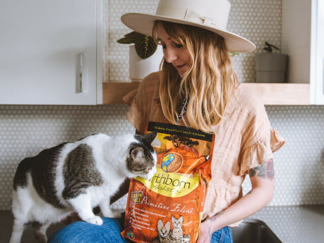 Person on a kitchen countertop holding a bag of Earthborn Holistic Primitive Feline cat food and a cat sniffing it out