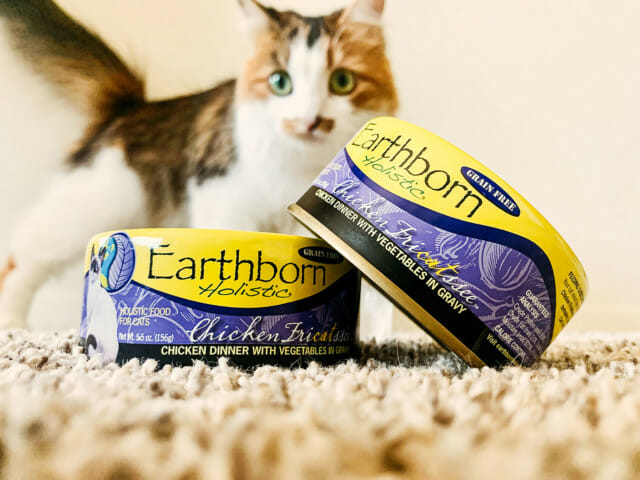 Cat peeking out over two cans of Earthborn Holistic Chicken Fricatssee cat food