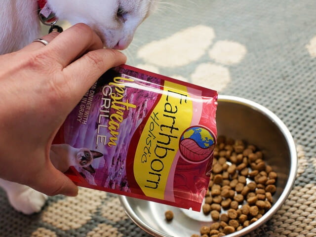 Person pouring a bag of Earthborn Holistic Upstream Grille cat food into a bowl
