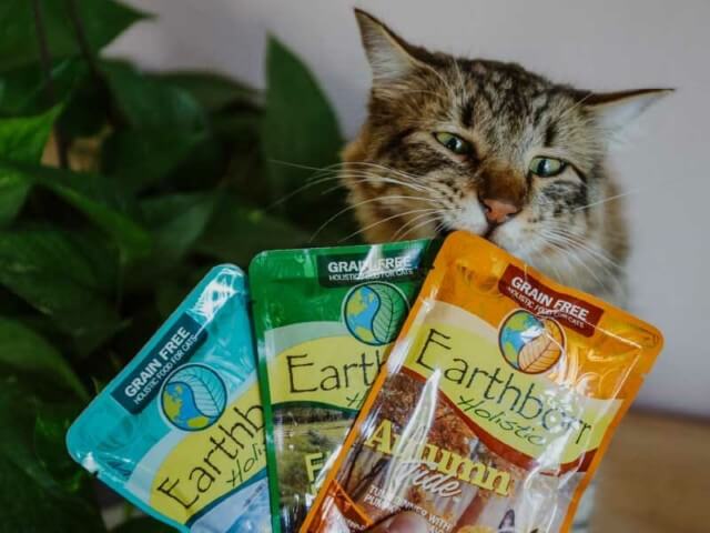 Our Ingredients
We offer a wholesome approach to nutrition with ingredients that nourish the whole pet.
Our Ingredients