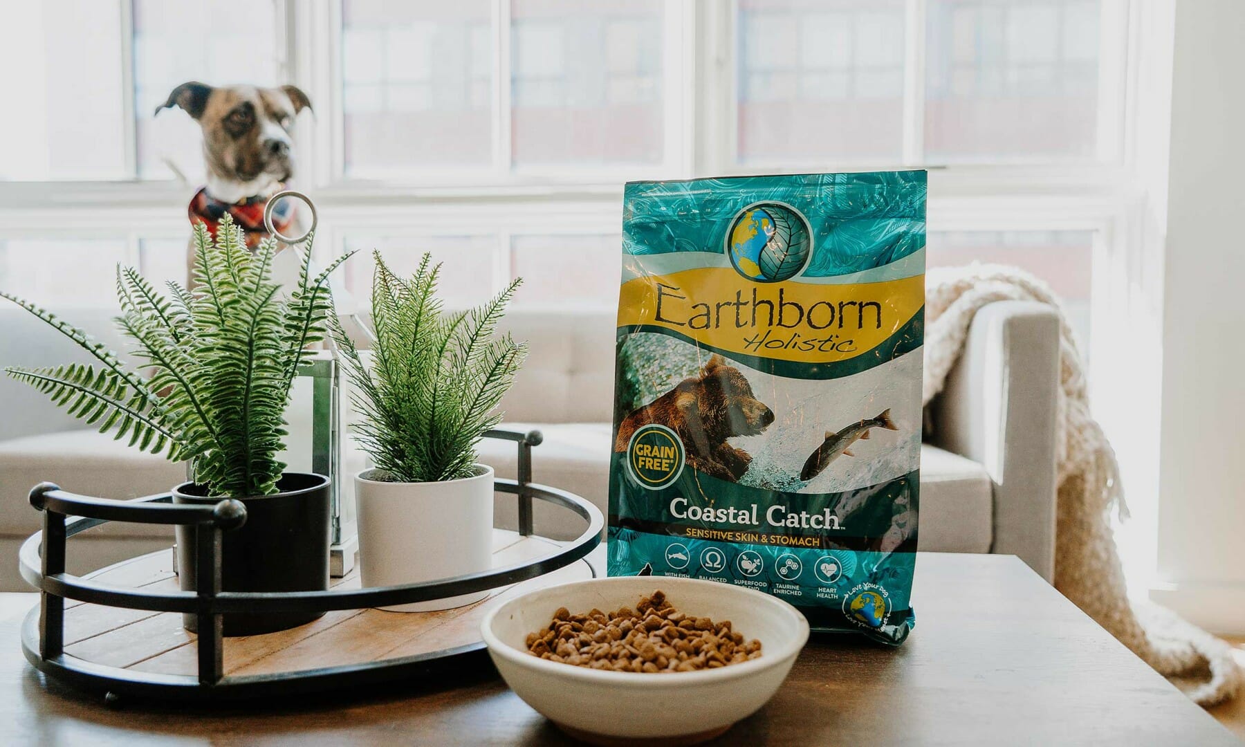 Grain Free Holistic Dog Food