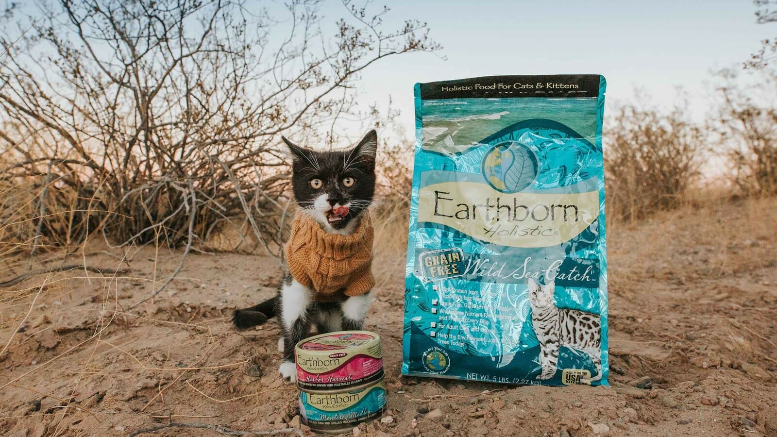 Small cat beside a bag of Earthborn Holistic Wild Sea Catch cat food