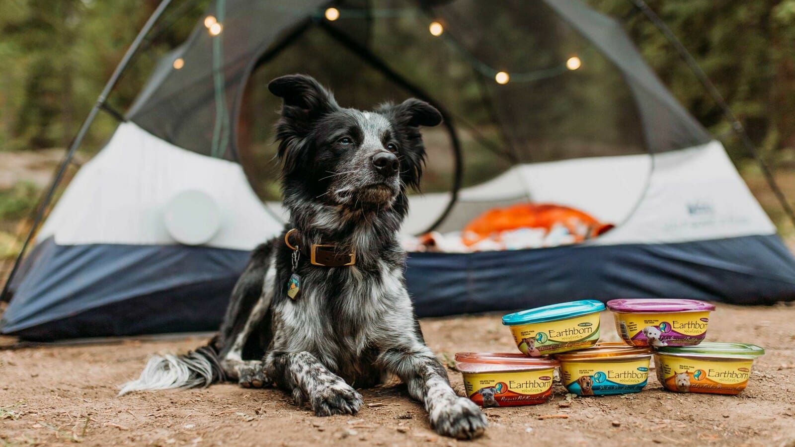 Dog sitting next to a containers of Earthborn Holistic dog food and a tent